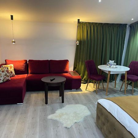 Vila Zoe Bucharestairport&Therme&Parking オトペニ エクステリア 写真